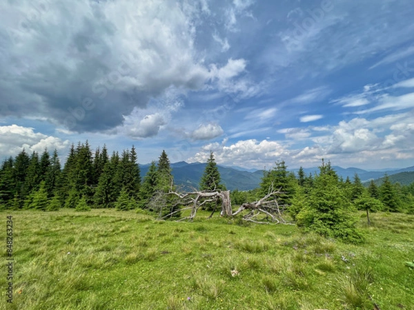 Fototapeta Fairytale landscape against green mountains and dramatic sky.