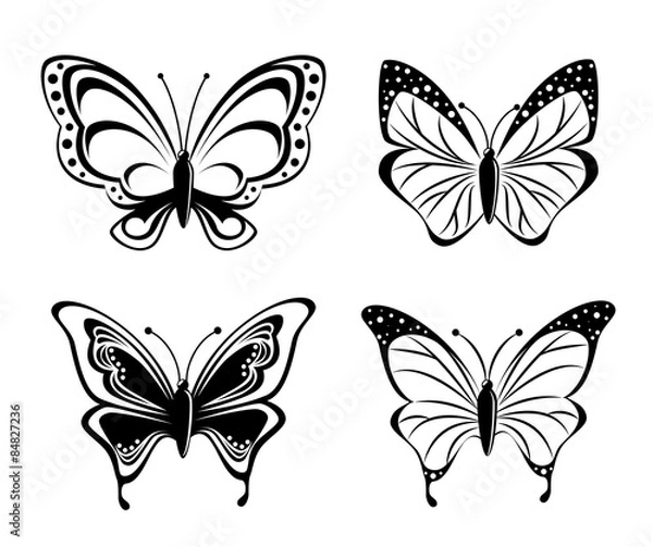 Fototapeta Butterfly design.