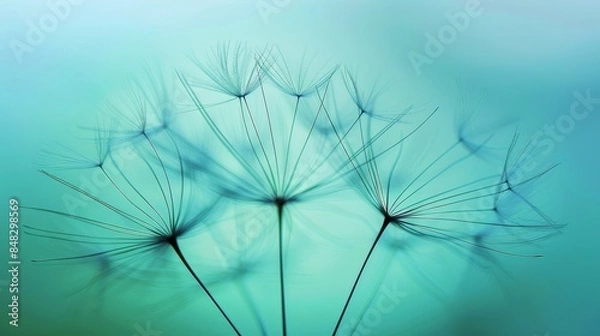 Fototapeta Delicate dandelion seed close up with soft blue sky, blurred seeds dispersing, intricate texture