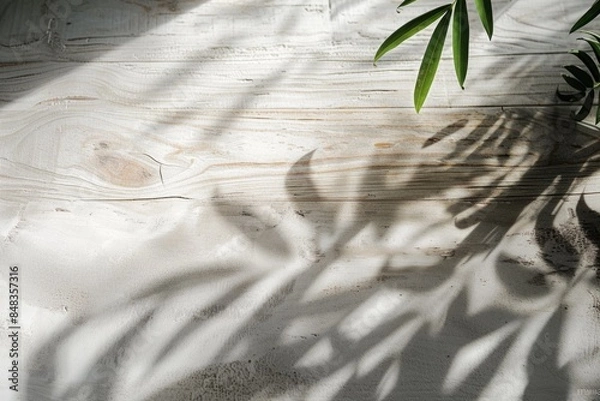 Fototapeta Plant casting shadow on wood