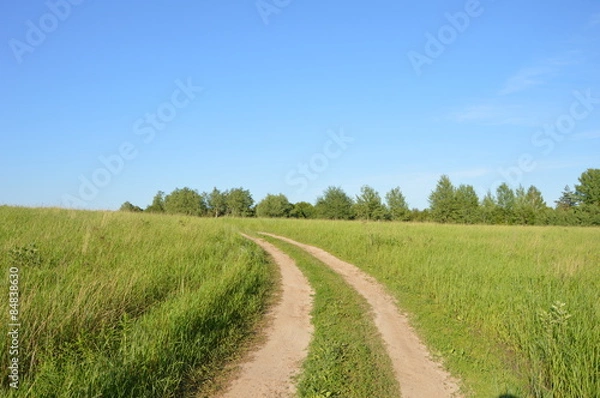 Fototapeta Лето
