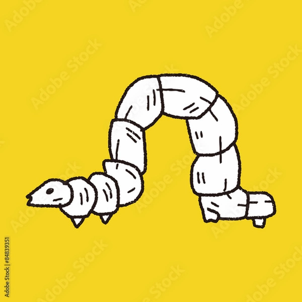 Fototapeta caterpillar doodle