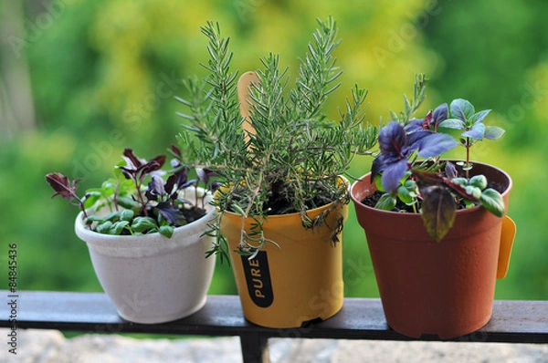 Fototapeta Balcony garden
