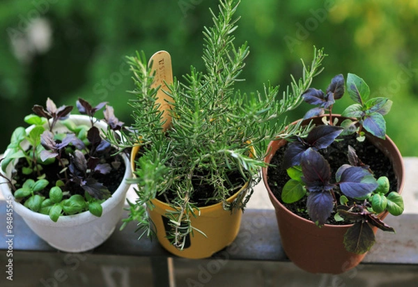 Fototapeta Balcony garden