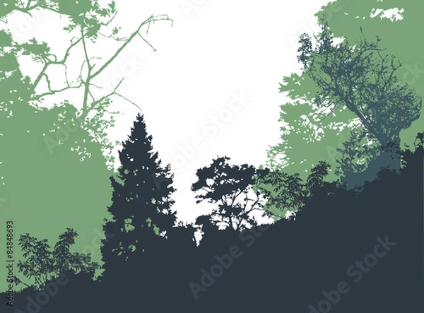 Fototapeta Panoramic forest landscape with silhouettes of trees 