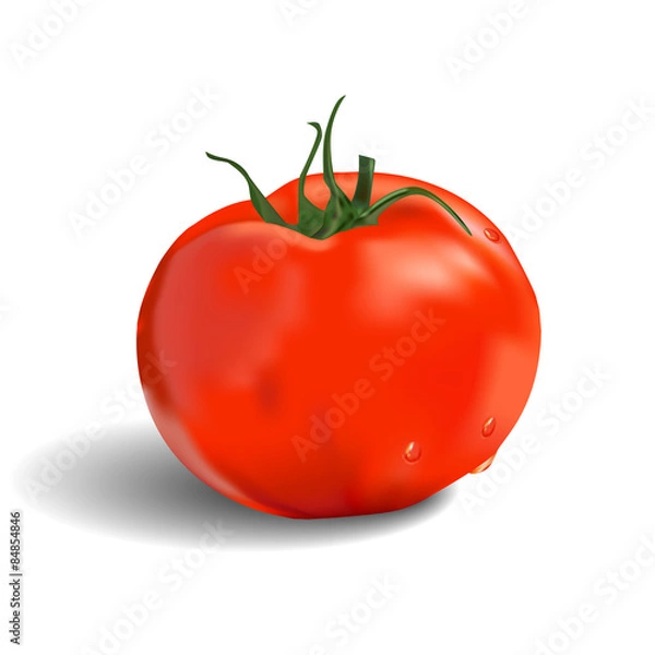 Obraz Isolated red tomato