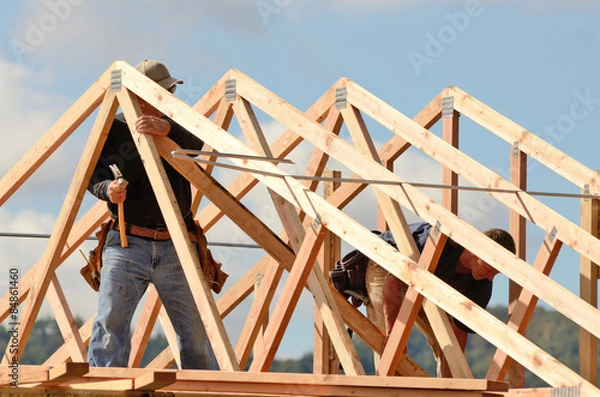 Fototapeta Krokiew dachowa