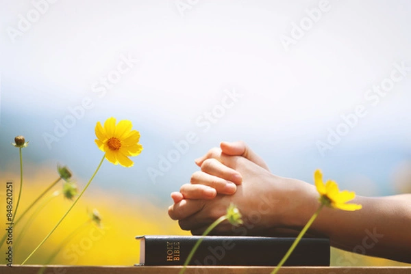 Obraz Christian praying with hands together on the holy bible and yellow flower background swaying in the wind
