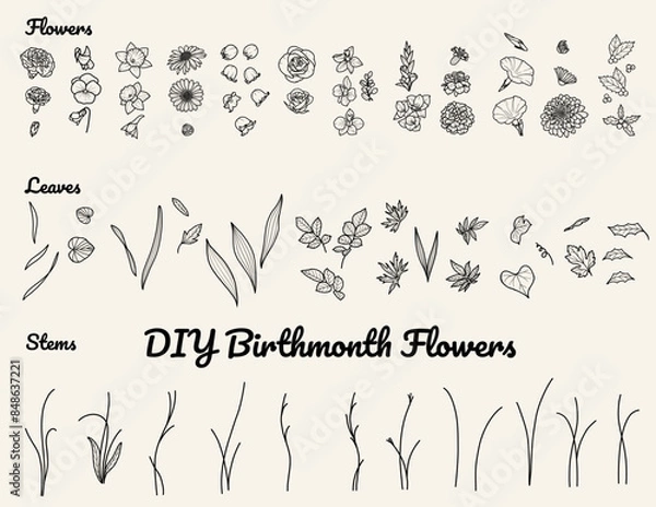 Obraz Do-it-yourself Birth Month Flowers, Birth Flowers Vector File