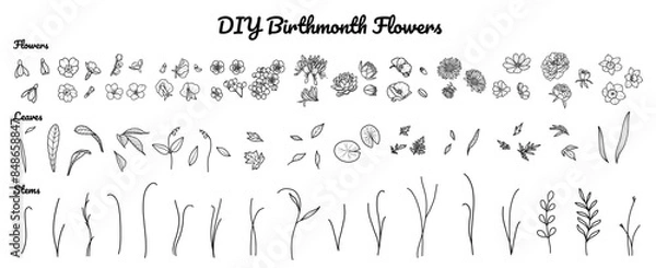 Obraz DIY Birth Month Flower Set, Hand-drawn, Minimalist Birth Flowers