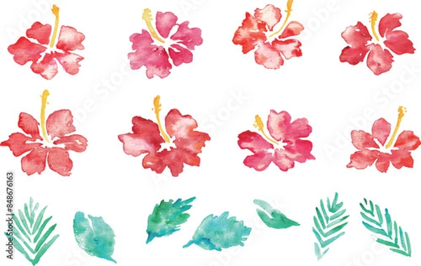 Fototapeta 水彩画。水彩タッチのハイビスカスベクターフレーム。南国風ハイビスカスの背景。Watercolor painting. Hibiscus vector frame with watercolor touch. Tropical style hibiscus background.