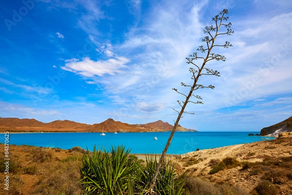 Obraz Almeria Playa los Genoveses beach Cabo de Gata