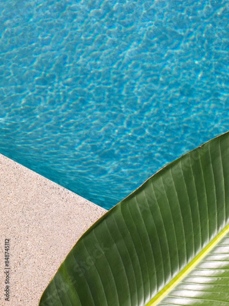 Obraz close view of a green banana leaf on the cement edge of swimming pool with blue water. Summer backdrop with copy space