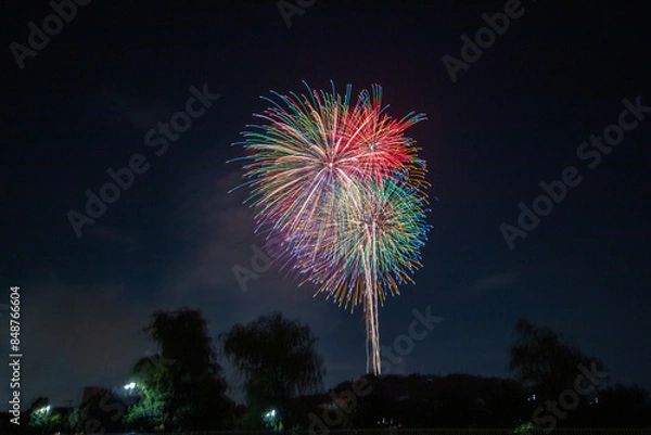 Fototapeta 東海まつり