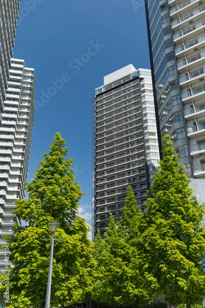Fototapeta 新緑の高層マンション