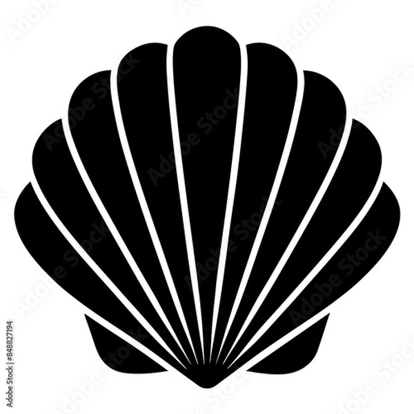 Obraz illustration of a seashell