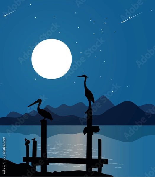 Fototapeta There are some moonlit night birds Vector Illustration