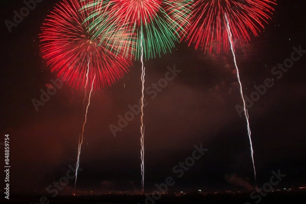 Obraz 長岡まつり