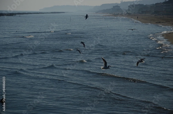 Obraz Gabbiani sul mare al tramonto