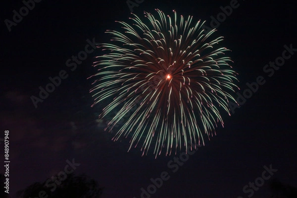 Fototapeta 花火のある風景