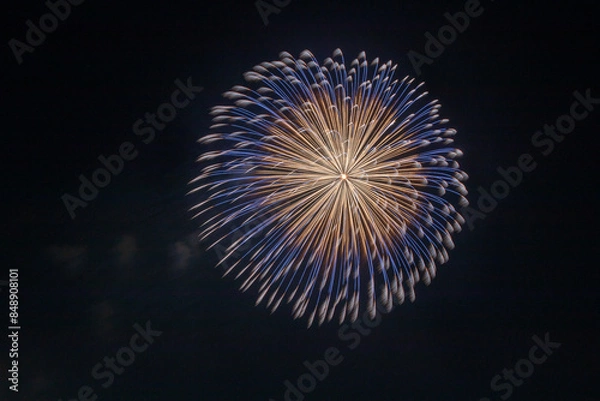 Fototapeta 花火のある風景