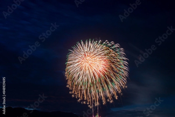 Fototapeta 長野県の芸術花火