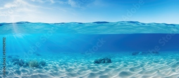 Fototapeta Wide underwater blue ocean panorama background with sandy sea bottom with copy space image