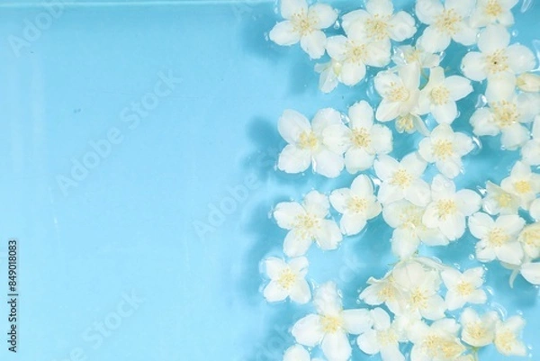 Fototapeta Beautiful jasmine flowers in water on light blue background, top view. Space for text