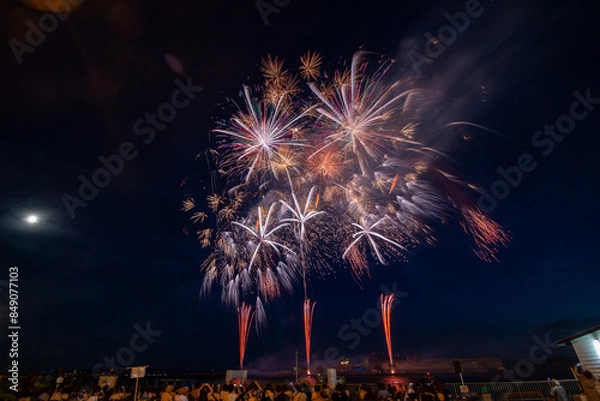 Obraz 三河地方の花火