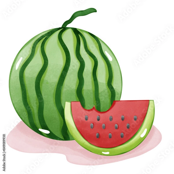 Obraz slice of watermelon