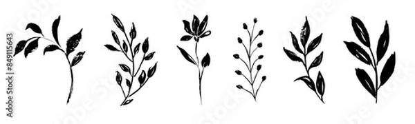 Fototapeta Set of retro branches and leaves. Silhouettes of hand drawn artistic field herbs in black ink. Vintage botanical florals.