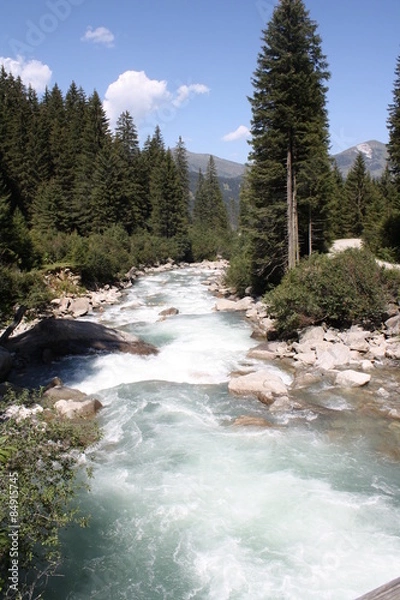 Fototapeta Gebirgsbach