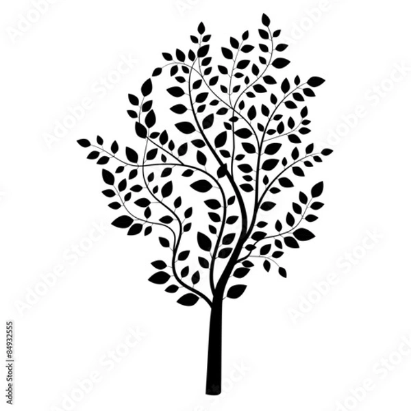 Obraz Small tree black isolated on white