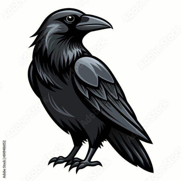 Obraz solid-black-outline-common-raven-animal-vector