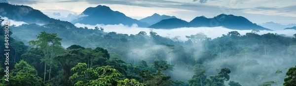 Fototapeta A panoramic view of the amazon rainforest with mist rising from its tree tops and mountains in background