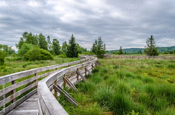 Obraz Torfowisko w Bieszczadach