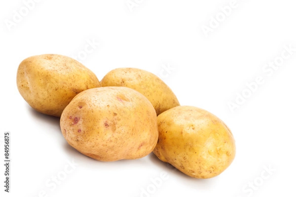 Obraz yellow potatoes in peel