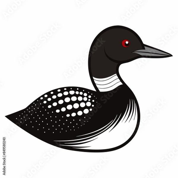 Obraz  Common Loon outline vector artwork illustration
