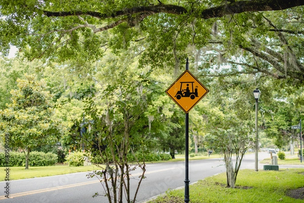 Obraz Golf Cart crossing sign on a black pole on a beautiful road with a tree canopy, horizontal 