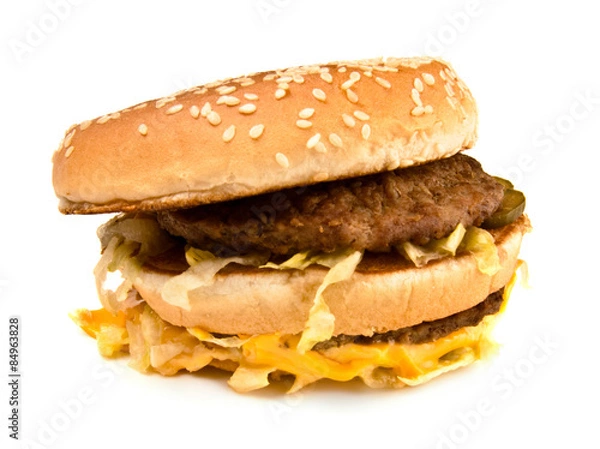 Obraz ugly fat sandwich