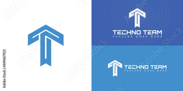 Fototapeta Abstract initial hexagon letters T or TT logo in blue color isolated on multiple background colors. The logo is suitable for software engineering logo vector design illustration inspiration templates.