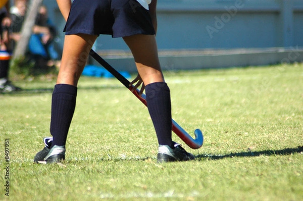 Obraz Hockey legs