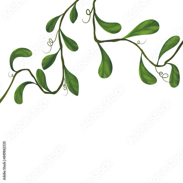 Obraz green leaves background