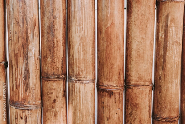 Obraz bamboo background