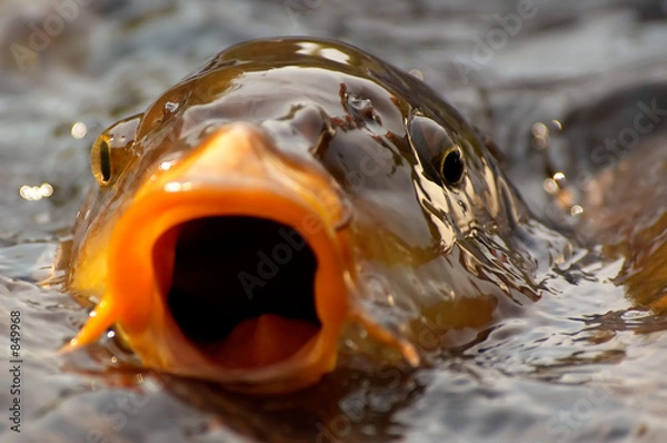 Obraz tło podejrzane