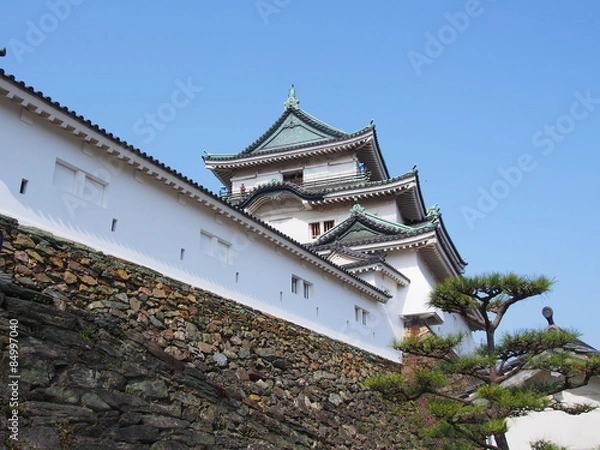 Fototapeta 和歌山城