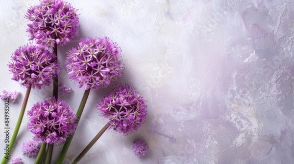 Obraz Allium with copy space