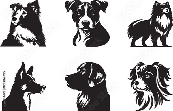 Obraz Illustration of different Dog breeds