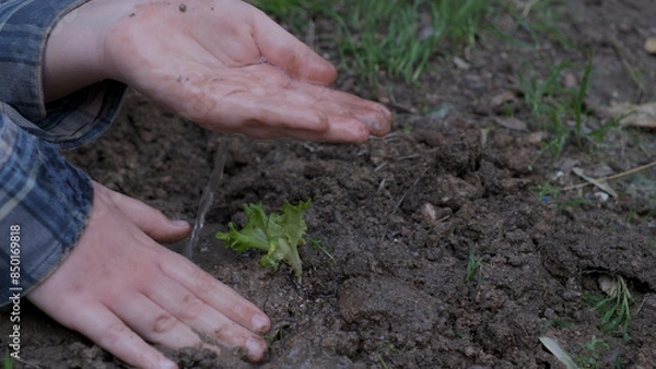 Fototapeta Boy planting a new tree, concept Save the Earth, save the world, save planet, ecology concept.photo