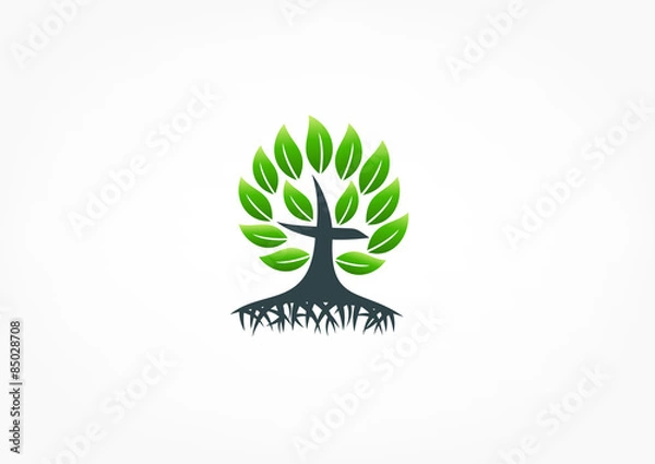 Fototapeta tree root christian